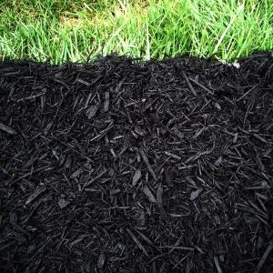 Mulch